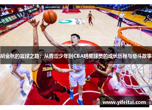 胡金秋的篮球之路：从青涩少年到CBA明星球员的成长历程与奋斗故事